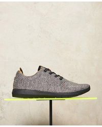 Superdry - Scuba Runner Trainers Grit - Lyst