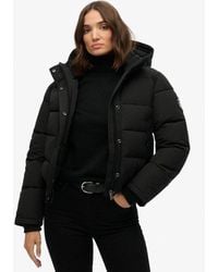 Superdry - Everest Bomber Jas - Lyst