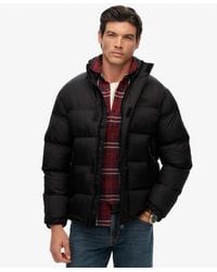 Superdry - Tech Gewatteerd Jack Zonder Capuchon - Lyst