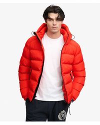 Superdry - & Co Gewatteerde Sportjas Met Capuchon - Lyst