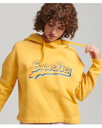Superdry - & Co Rainbow Graphic Logo Hoodie - Lyst