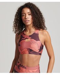 Superdry - Core Active Beha - Lyst