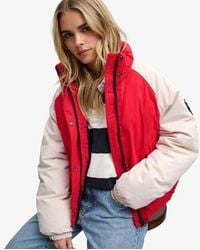 Superdry - & Co Cotton Padded Shell Jacket - Lyst