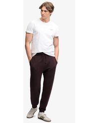 Superdry - & Co Essential Company Logo joggers - Lyst