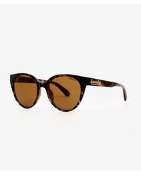 Superdry - & Co Cat Eye Sunglasses - Lyst