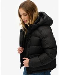 Superdry - & Co - Lyst