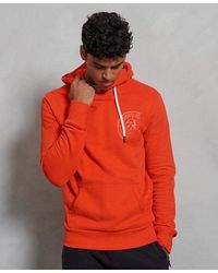 superdry hemisphere hoodie