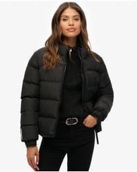 Superdry - & Co Non Hooded Sports Puffer Jacket - Lyst