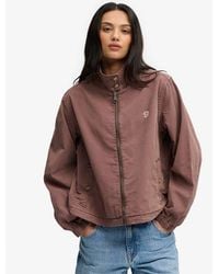 Superdry - & Co Cotton Harrington Jacket - Lyst