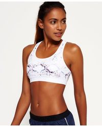Superdry - Core Gym Bra Python - Lyst