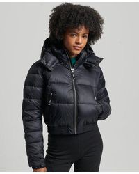 Superdry - Fuji Cropped Hooded Jacket - Lyst