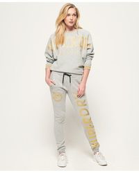 Superdry Joggers Ace Sport - Gris