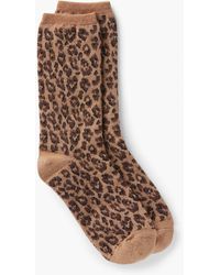 Talbots - Fall Leopard Trouser Socks - Lyst
