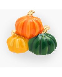 Talbots - Gourds Brooch - Lyst