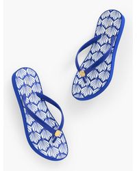 Aqua Club - Bea Molded Thong Flip Flops - Lyst