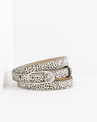 Talbots - Dotted Calf Hair Slim Belt - Lyst