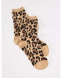 Talbots - Fabulous Leopard Trouser Socks - Lyst