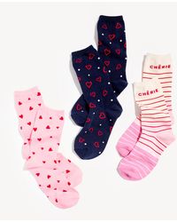 Talbots - Valentine Trouser Socks 3 Pack Gift Set - Lyst