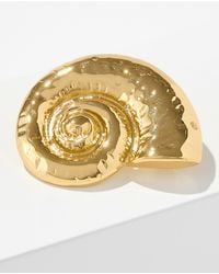 Talbots - Nautilus Brooch - Lyst
