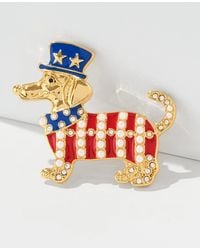 Talbots - Patriotic Dog Brooch - Lyst