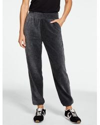 Talbots - Sky Lounge Velour Sparkle Jogger Pants - Lyst