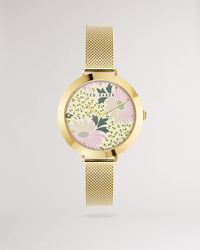 Ted Baker Daisy Print Watch With Mesh Band - Metallic