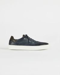 ted baker brown trainers