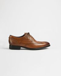 ted baker hosei pointed brogues