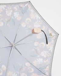 Ted Baker L895 Decadence Tiny Umbrella - Grau