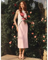 Ted Baker - Lowela Bold Floral Print Halterneck Midi Dress - Lyst