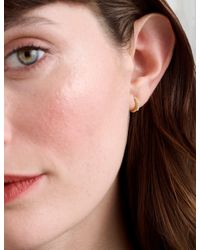 Ted Baker - Hettieg Crystal Huggie Hoop Earrings - Lyst