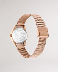 Ted Baker Mesh Strap Watch - Multicolour