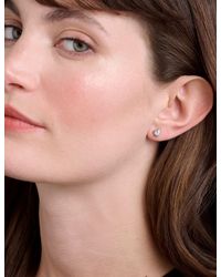 Ted Baker - Harmonys Mini Crystal Heart Stud Earrings - Lyst