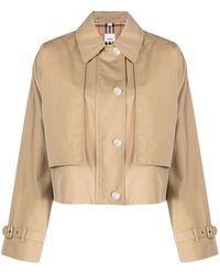 Burberry - Cotton Cropped Jacket - Lyst