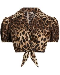 Dolce & Gabbana - Dolce & Gabbana Leo Print Cotton Top - Lyst