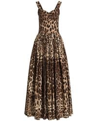 Dolce & Gabbana - Leo Print Cotton Dress - Lyst