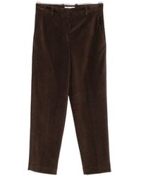 Circolo 1901 - Cotton Carrot Trousers - Lyst