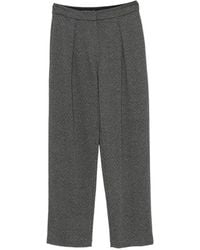 Emporio Armani - Cotton Trousers - Lyst