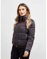 DKNY Sport Logo Padded Jacket Black