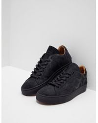 vivienne westwood ladies trainers
