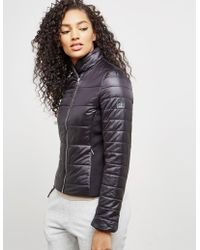 ck jackets womens