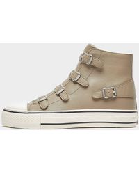 Ash Virgin Perkish Leather Buckle Zip Women Trainers NEW Size 41 ON SALE 