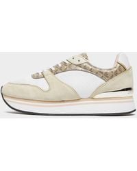 armani trainers women's sale