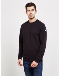 umich sweatshirt