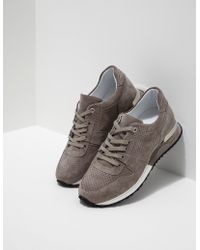 tommy mallet womens trainers