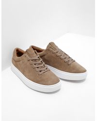 polo womens trainers