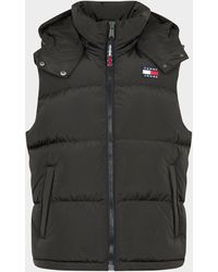 tommy hilfiger gilet