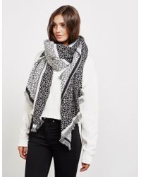 Calvin Klein Scarves and mufflers for Women | Online Sale up to 74% off |  Lyst Canada