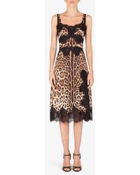 Dolce & Gabbana - Leopard Print Satin Dress With Lace Trims - Lyst
