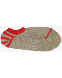 Antipast - Contrast-Trim Short Socks - Lyst